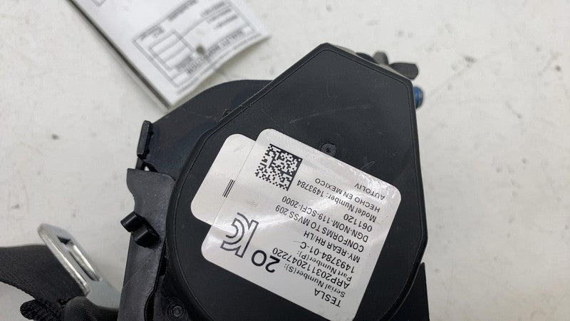 ⭕ 20-23 Model Y MY Rear Left or Right 2nd Row Seat Belt & Retractor 14