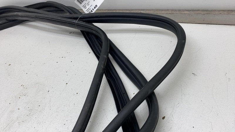 2022-2024 Kia EV6 Front & Rear Left & Right Door Body Weatherstrip Rubber Seal