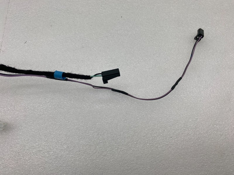 1004425 00 Q ⭕ 16 Model S Rear Side Door Wiring Harness Cable Wire Loom Left LH 1004425-00-Q