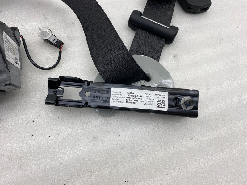 108127901F ⭕ 2017-2023 Tesla Model 3 Front 1st Row Seat Belt & Retractor Right 1081279-01-F