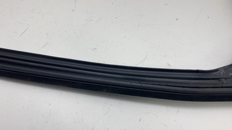 LJ8BR25825AE ⭕ 21-24 Ford Mustang Mach-E Rear Left Door Window Rubber Seal OEM LJ8B-R25825-AE