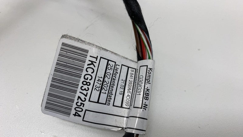 2021 BMW 530e G30 Front Door Wire Wiring Harness Loom Assembly 9841253