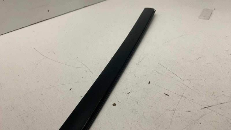 ⭕ 17-25 Chrysler Pacifica Rear Driver Side Sliding Door Window Belt Mo