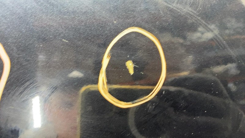 ⭕ 2016-2020 Tesla Model X MX Front Passenger Side Door Shell Panel Rig