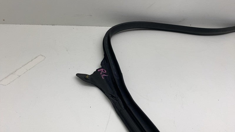 ⭕ 17-23 Tesla Model 3 Rear Driver Side Left Door Primary Weatherstrip