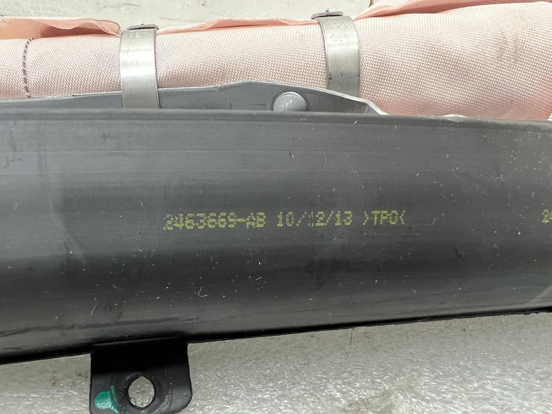 1005262-00-C 2012-2020 Tesla Model S MS Right Passenger Roof Curtain Airbag OEM RH 1005262-00