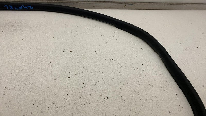 191098500C ⭕ 24-25 Model 3 Rear Left Primary Body Weatherstrip Rubber Seal LH 1910985-00-C