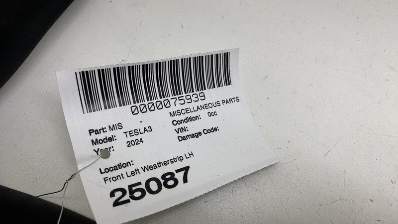 1910983-00-C ⭕ 24-25 Model 3 Front Left Primary Body Weatherstrip Rubber Seal LH 1910983-00-C