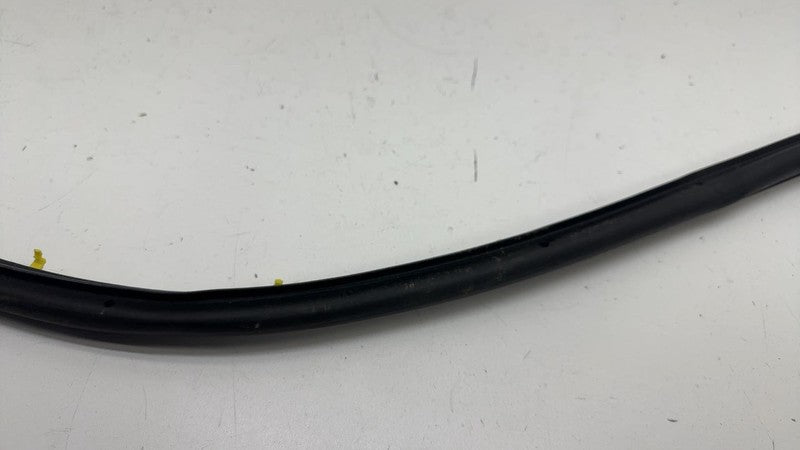 LJ8B-R20530 ⭕ 2021 2022 2023 2024 Ford Mustang Mach-E Front Door Weatherstrip Seal OEM