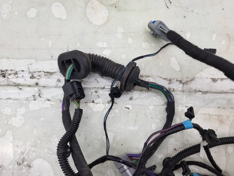 100442500P ⭕ 12-20 Model S Rear Driver Side Door Wiring Harness Wire Loom Left 1004425-00-P