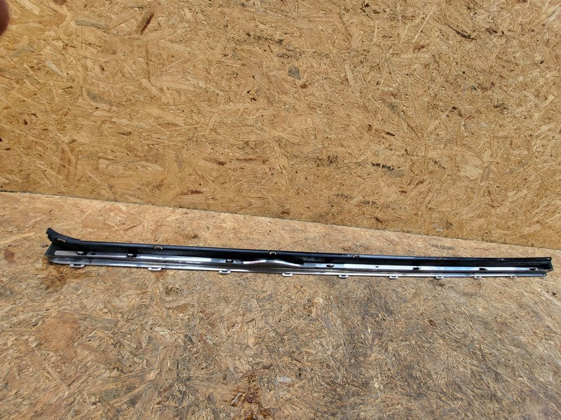 1012215-00-C ⭕ 12-25 Model S Driver Side Rocker Panel Scuff Plate Molding Left 1012215-00-C