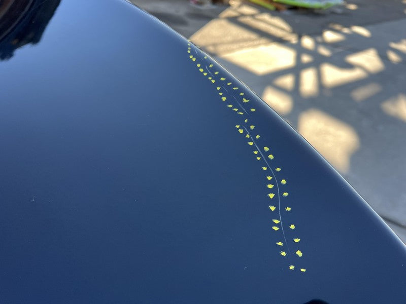 ⭕ 2016-2020 Tesla Model S Rear Tailgate Hatch Panel w/ Liftgate Glass