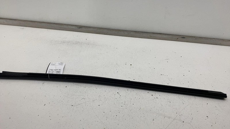 ⭕ 2024-2025 Tesla Model 3 Rear Right Side Door Window Seal Molding Bel