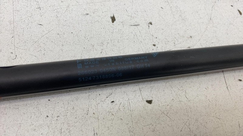 51247318896 ⭕14-22 Cooper F55 Rear Left & Right Liftgate Trunk Lid Support Strut 51247318896
