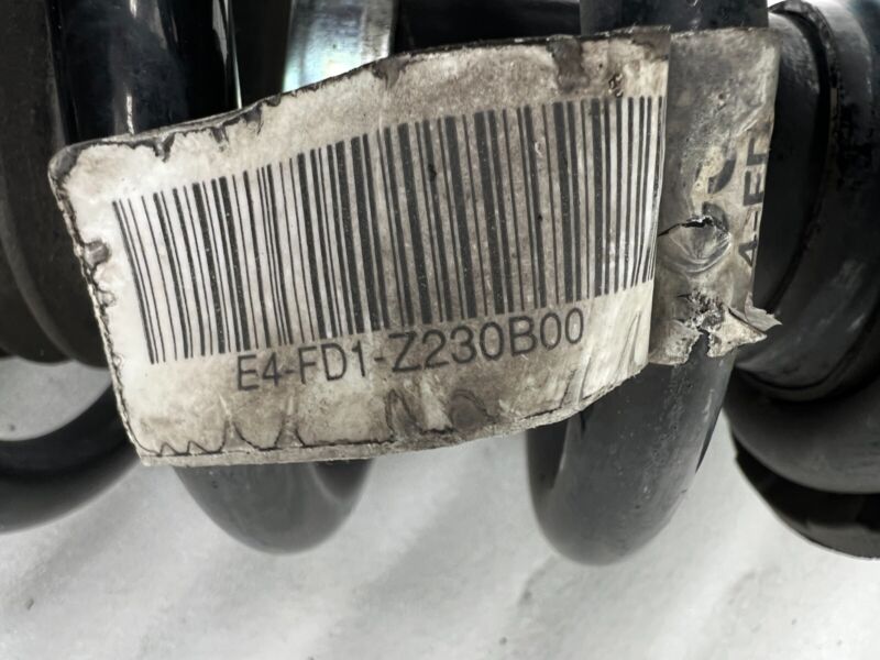 101561900B 2012-2020 Tesla Model S Front Left or Right Suspension Shock Strut & Coil Spring