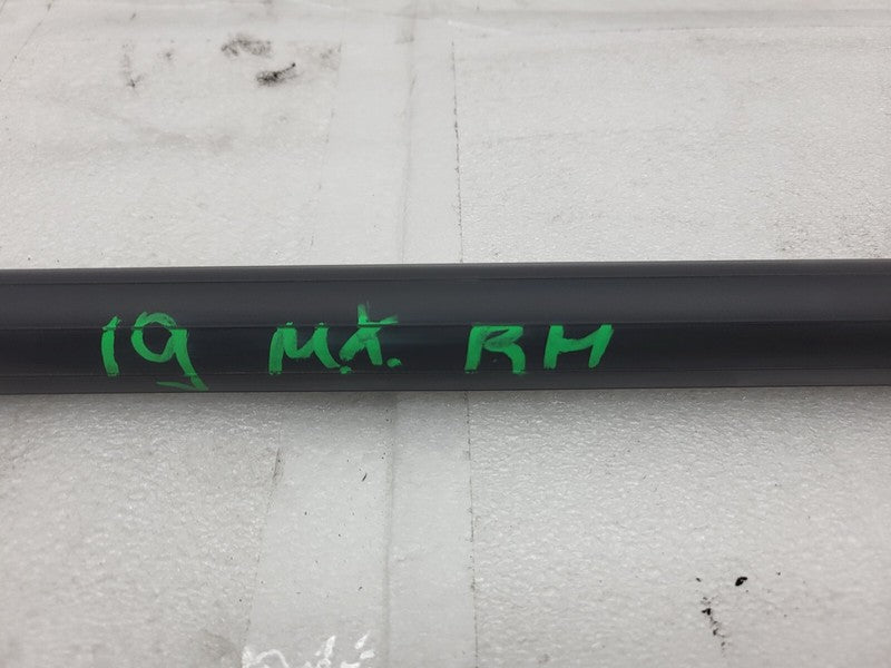 106566900A ⭕16-20 Model X Rear Passenger Side Power Liftgate Shock Strut Right 1065669-00-A