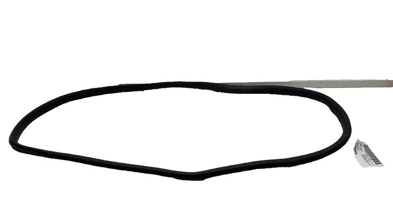 ⭕ 20-23 Tesla Model Y Rear Driver Side Door Body Weatherstrip Rubber S