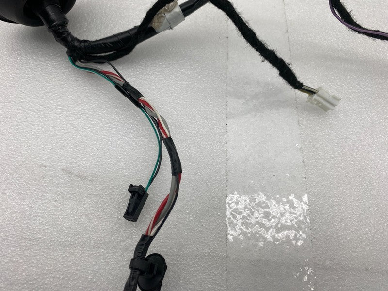 1004425 00 Q ⭕ 16 Model S Rear Side Door Wiring Harness Cable Wire Loom Left LH 1004425-00-Q