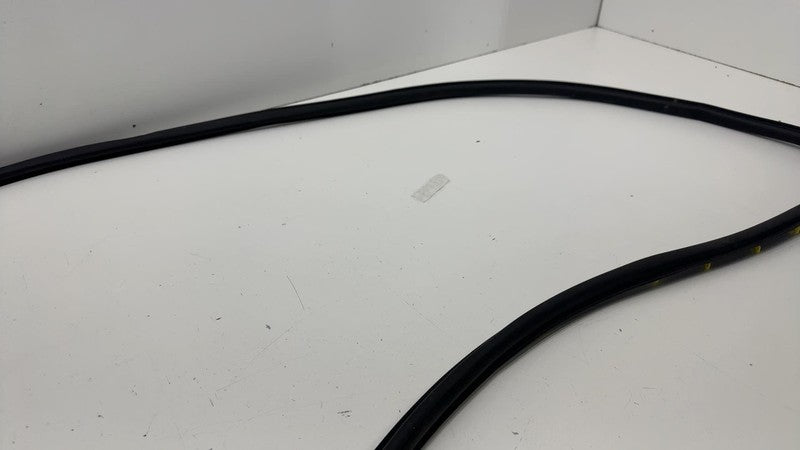 LJ8B-R20530 ⭕ 2021 2022 2023 2024 Ford Mustang Mach-E Front Door Weatherstrip Seal OEM