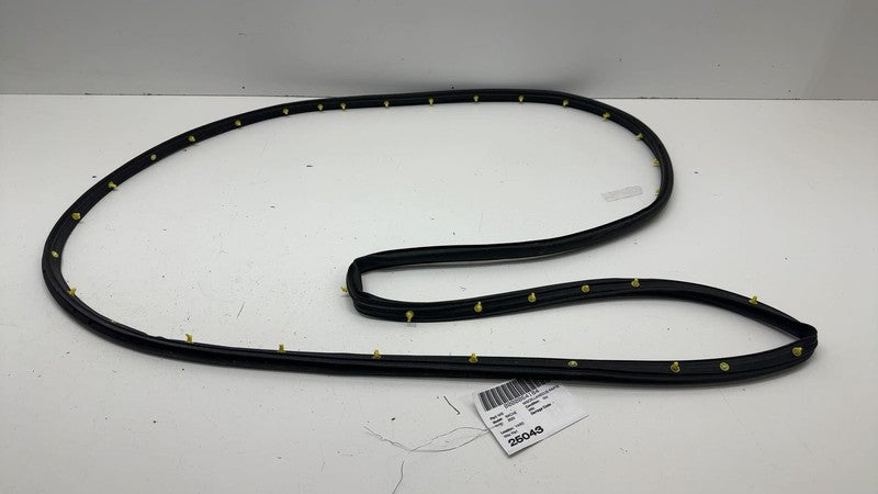 LJ8B-R20530 ⭕ 2021 2022 2023 2024 Ford Mustang Mach-E Front Door Weatherstrip Seal OEM