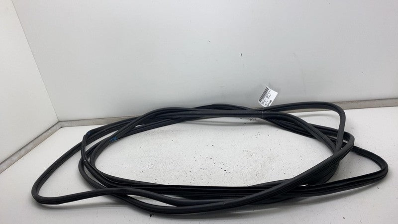 2022-2024 Kia EV6 Front & Rear Left & Right Door Body Weatherstrip Rubber Seal