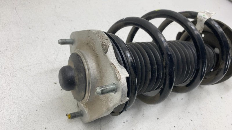 2022 2023 2024 Kia EV6 Driver Side Shock Strut Absorber w/ Coil Spring