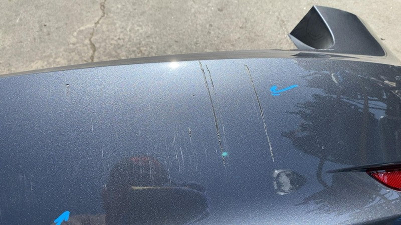 ⭕ 2023 Tesla Model 3 M3 Rear Bumper Cover Assy (No Park Sensor) Gray -