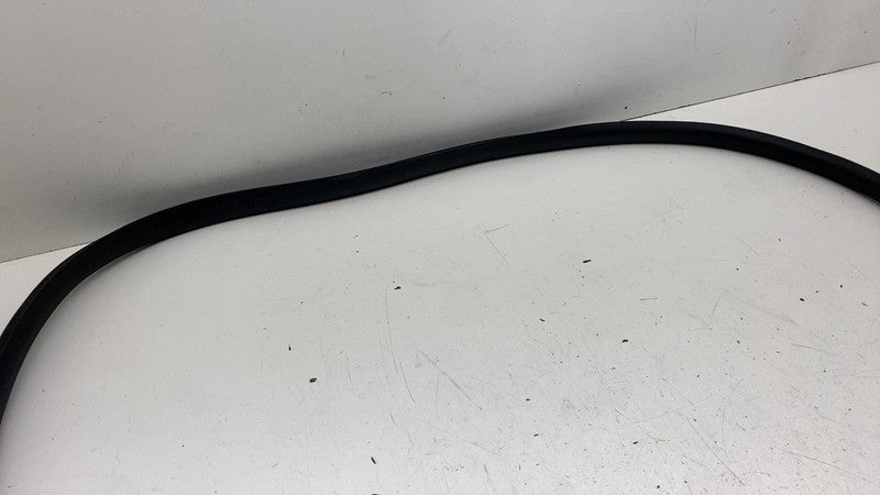 191098500C ⭕ 24-25 Tesla Model 3 Rear Side Left Door Primary Weatherstrip Seal 1910985-00-C