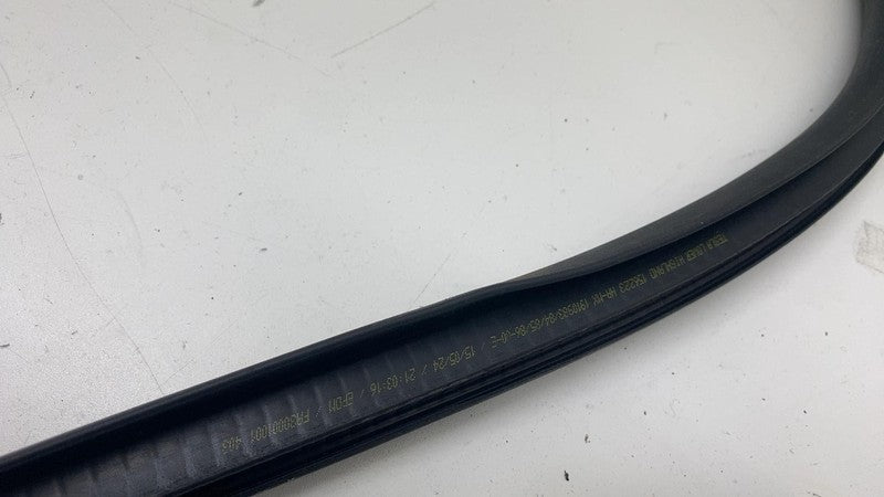 191098500E ⭕ 24-25 Tesla Model 3 Rear Side Left Door Primary Weatherstrip Seal 1910985-00-E