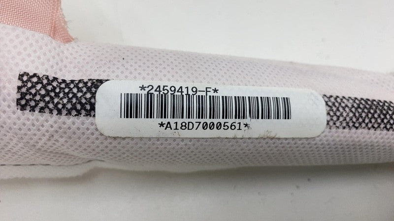 ⭕ 2012-2020 Tesla Model S MS Left Driver Roof Curtain Airbag OEM LH 10