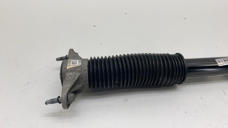 ⭕ 18-23 Model 3 Rear Left or Right Shock Strut Absorber Damper RWD 104