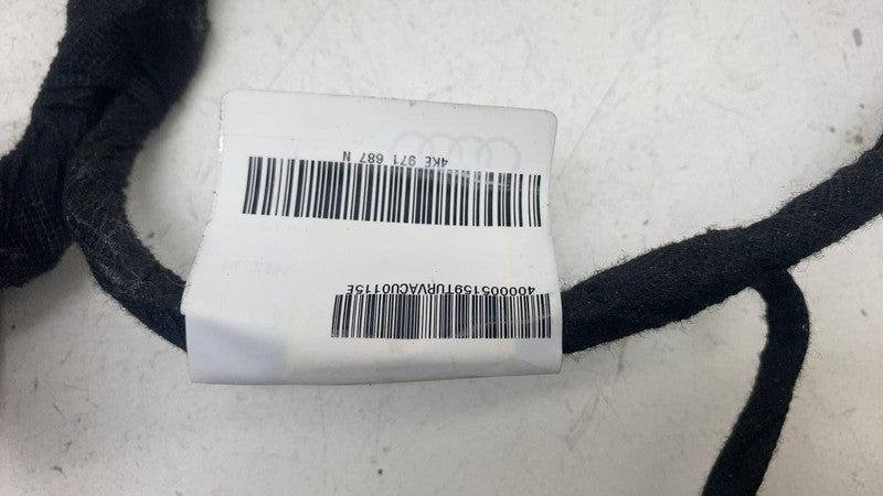 4KE971687N ⭕ 19-23 Audi E-Tron Rear Left Driver Side Door Wire Wiring Harness 4KE971687N