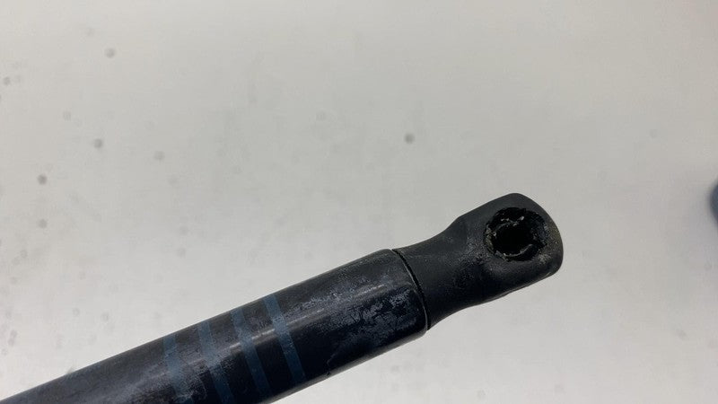 2017-2023 BMW 530e G30 Front Hood Lift Support Shock Strut Cylinder OEM