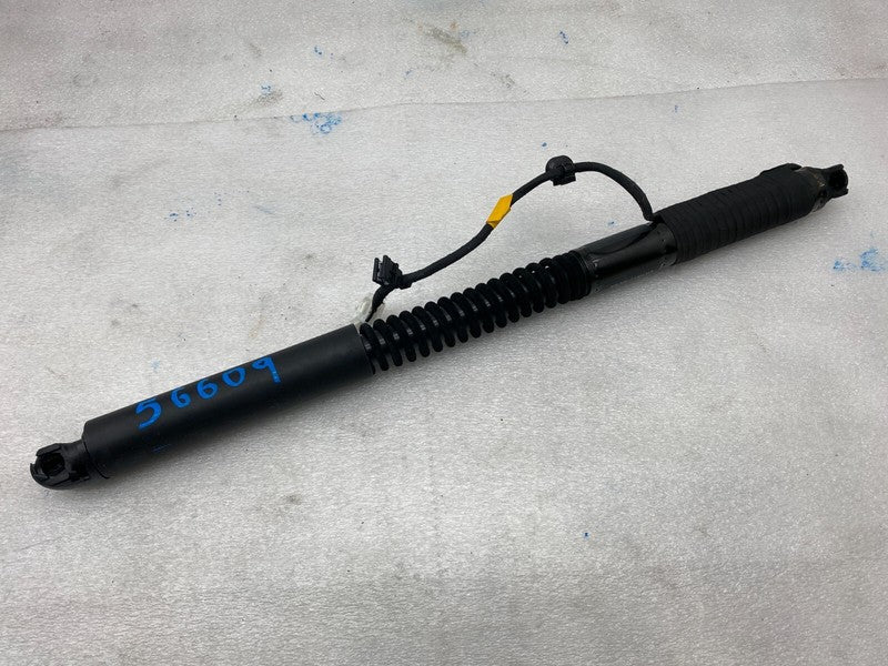 ⭕ 16-25 Model X MX Front Left/Rear Right Primary Falcon Door Strut 106