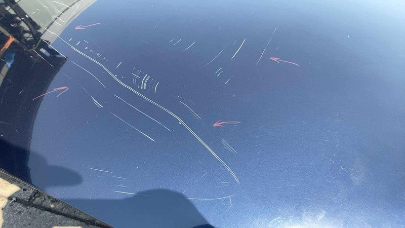 ⭕2012-2015 Tesla Model S MS Front Bonnet Hood Shell Panel Assembly OEM Blue PMMB