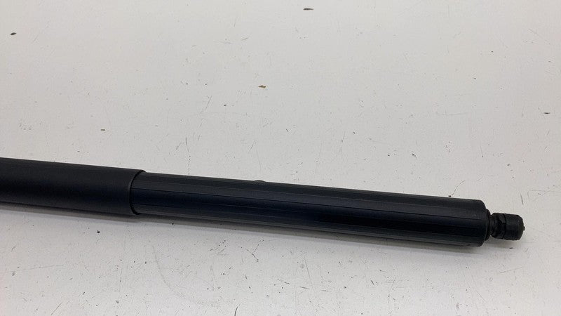 LJ8BR402A55AE ⭕ 21-24 Ford Mustang Mach-E Rear Left Power Lift Cylinder Strut LJ8B-R402A55-AE
