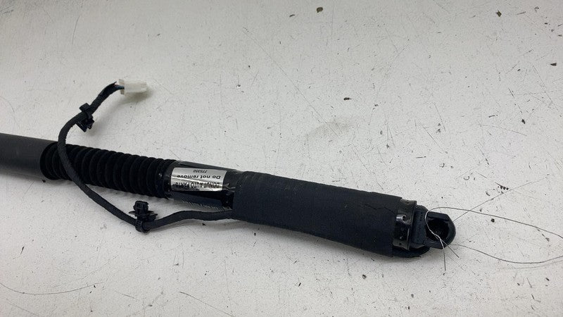 106344000C 2016-2023 Tesla Model X Rear Left or Right Secondary Falcon Door Lift Gas Strut