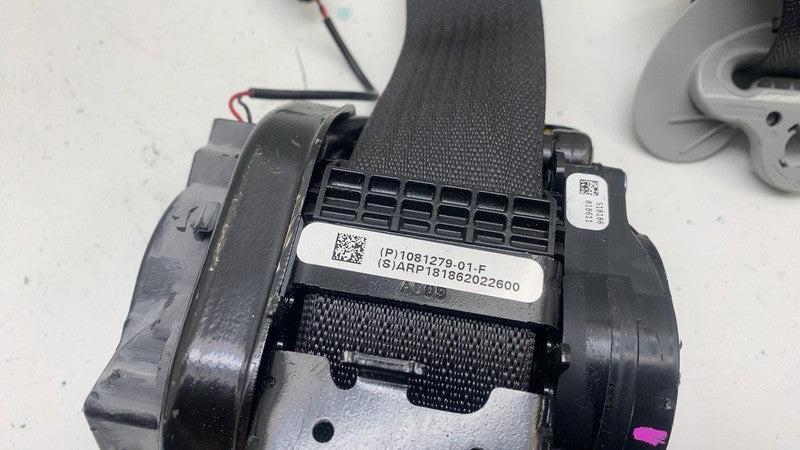 108127901F ⭕ 2017-2023 Tesla Model 3 Front Right 1st Row Seat Belt & Retractor 1081279-01-F