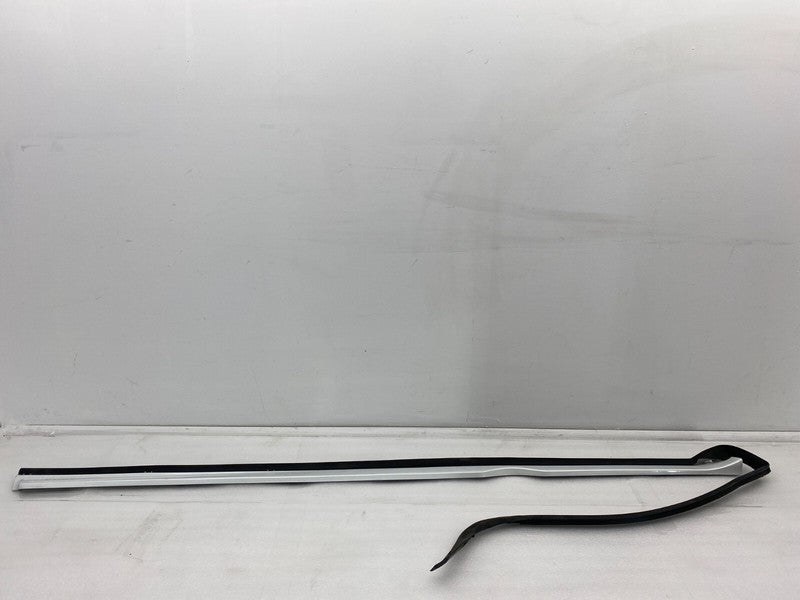 101221500G ⭕12-23 Model S Left Rocker Panel Scuff Plate Molding w/ Rubber Seal 1012215-00-G