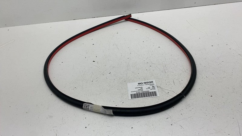 ⭕ 16-25 Tesla Model X MX Front Driver Side Door Secondary Seal Left 15