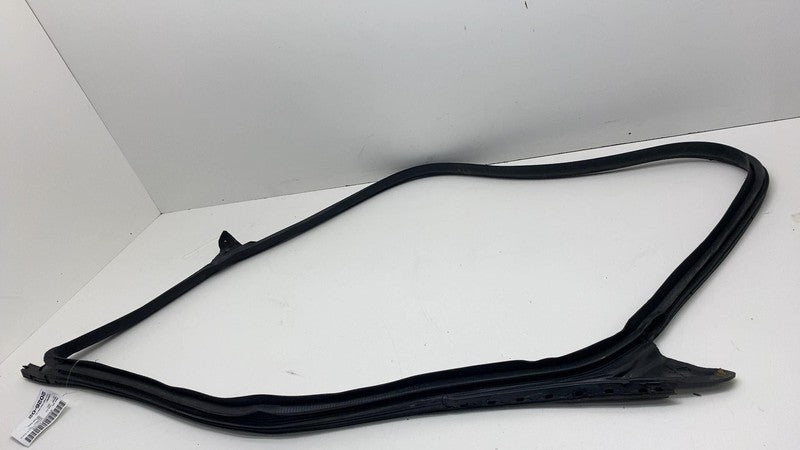 2017-2023 Tesla Model 3 Front Passenger Door Primary Weatherstrip Seal Right RH