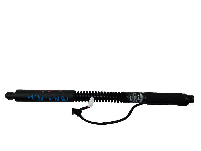 106344001D ⭕ 16-25 Model X Rear Right Front Left Primary Falcon Door Gas Strut 1063440-01-D