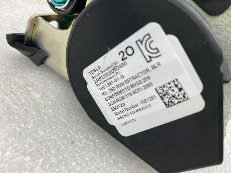 1081281 01 G ⭕ 2017-2023 Tesla Model 3 Rear 2nd Row Seat Belt & Retractor Right 1081281-01-G