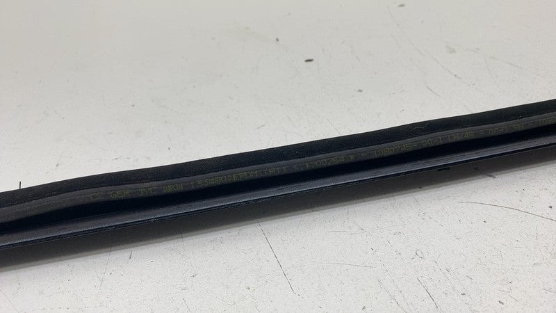 108074500I ⭕ 2021-2025 Tesla Model 3 Rear Right Door Window Outer Belt Molding 1080746-00-F