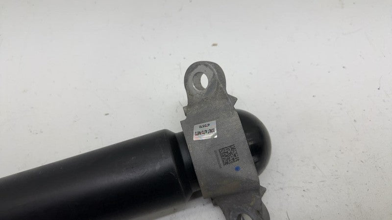 LJ9C-18080-ABG ⭕ 21-24 Ford Mustang Mach-E Rear Right Shock Strut Absorber AWD LJ9C-18080-ABG