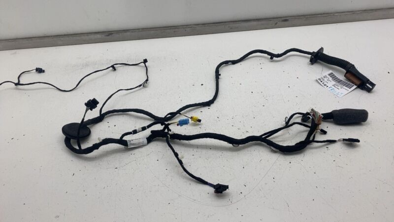 4KE 971 029 ⭕ 19-23 Audi E-Tron Front Left Driver Side Door Wire Wiring Harness LH 4KE971029