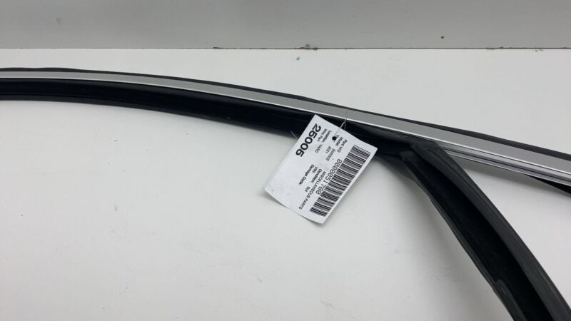 2018-2023 BMW 530e G30 Rear Weatherstrip Run Guide Channel w/ Molding Trim Assy