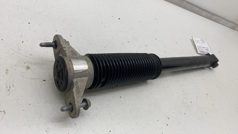 1044461 01 E 17-23 Model 3 Rear Left /Right Shock Strut Absorber Coil Damper AWD 1044461-01-E