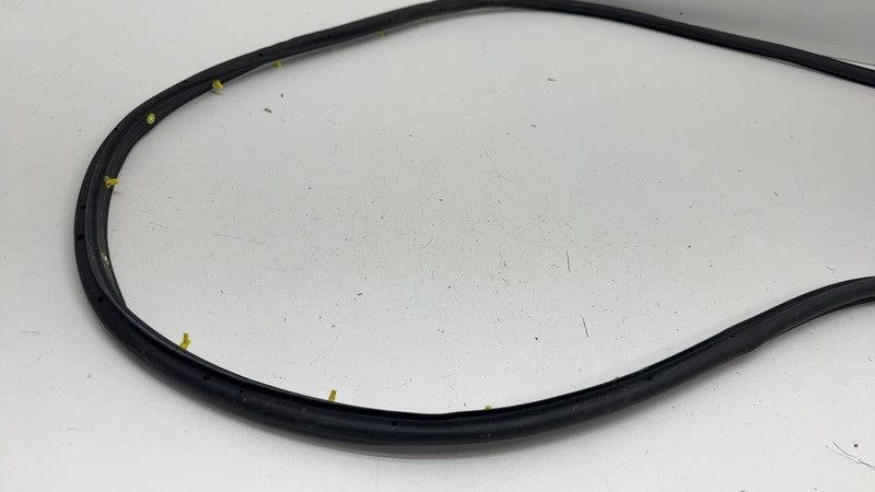 LJ8B-R20530 ⭕ 2021 2022 2023 2024 Ford Mustang Mach-E Front Door Weatherstrip Seal OEM