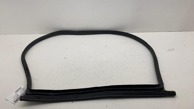 ⭕ 24-25 Model 3 Rear Right Primary Body Weatherstrip Rubber Seal RH 19